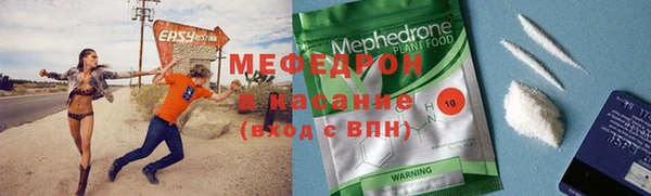 индика Вяземский