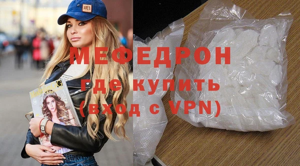 индика Вяземский