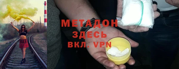 индика Вяземский