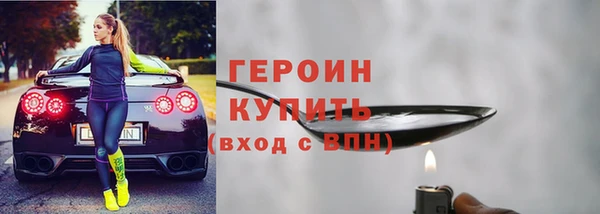 индика Вяземский