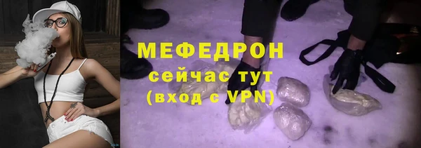 индика Вяземский