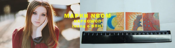 индика Вяземский
