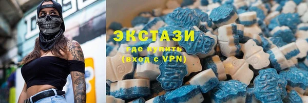 индика Вяземский