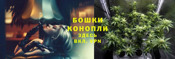 mdpv Горнозаводск