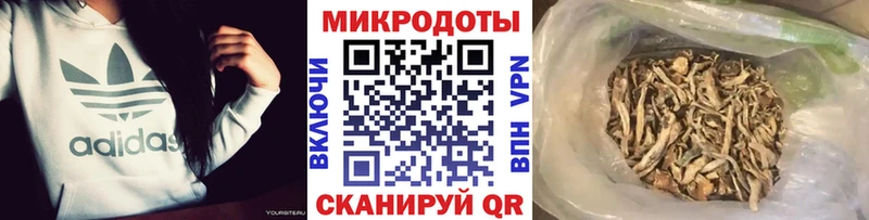 Псилоцибиновые грибы Magic Shrooms  Купить где  Всеволожск 